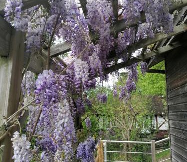 Etretat Bed & Breakfast | Sherwood