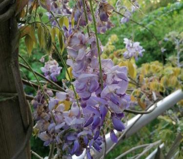 Etretat Bed & Breakfast | Sherwood