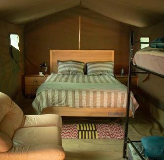 Thorny Bush Game Reserve Other | Shik Shack Backpackers
