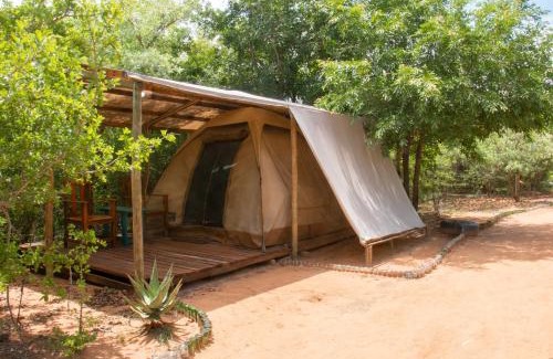 Thorny Bush Game Reserve Other | Shik Shack Backpackers