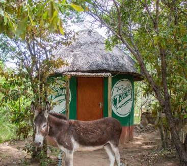 Thorny Bush Game Reserve Other | Shik Shack Backpackers