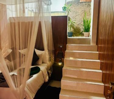 Ella House | Shining Green View