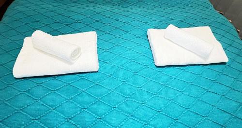 Konohana Apartment | SHINSEKI 303 NEW OPen 割引あり 千鳥橋駅徒歩8分 USJまで近い 難波まで電車11分 2LDK広いリービング