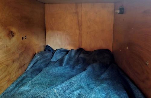 White Pine House | Shipping Container RV w Doghouse and Solar