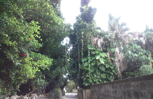 Shiraho House | Shirahono Yado Aoi Umi