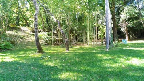 Capolona Apartment | Short Rent Il Casale