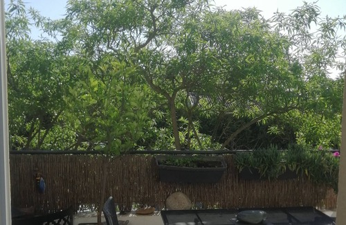 Grand Sud Apartment | Short-term rental