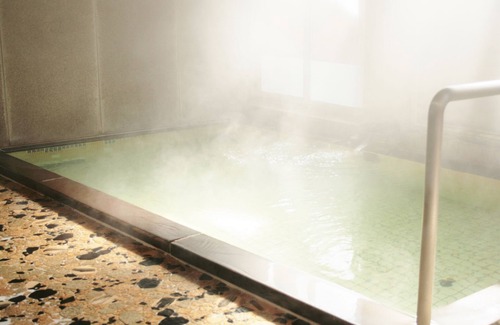 Togura Kamiyamada Onsen Hotel | Shunjyuan Wakanoyu