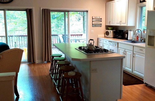 Lake Arrowhead House | Sidney's Cabin House in Lake Arrowhead - Gaylord, MI