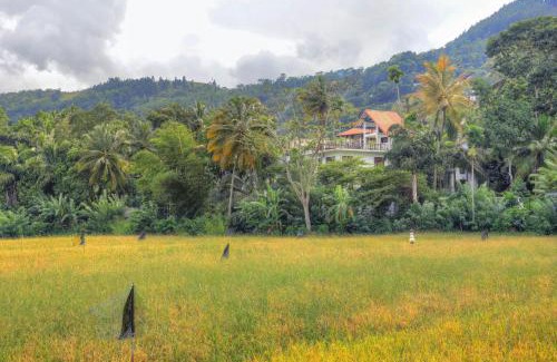 Kandy House | Sienna Retreat, Kandy