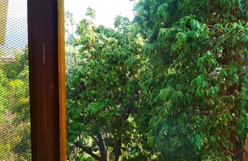 Kaul Other | Silent Valley- Alchauna house along river Kalsa O
