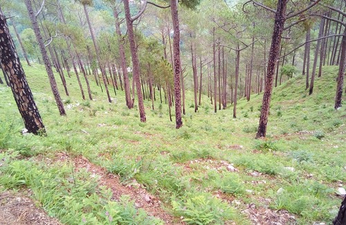 Kaul Other | Silent Valley- Alchauna house along river Kalsa O