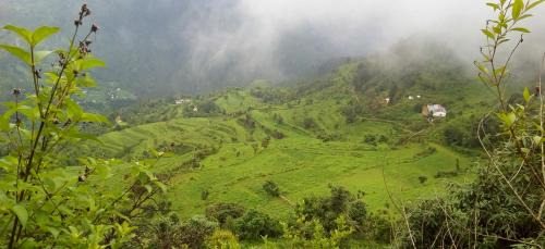 Kaul House | Silent Valley- Alchauna Kumaoni House along river Kalsa