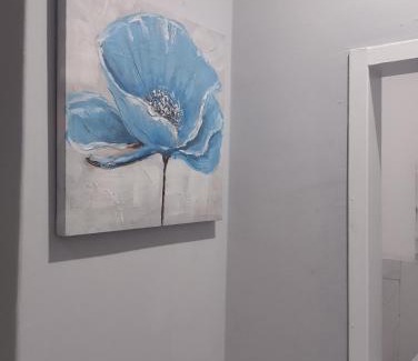 Middelburg House | Silver Vain