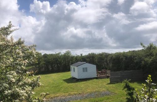 Plomeur Other | Simple Life