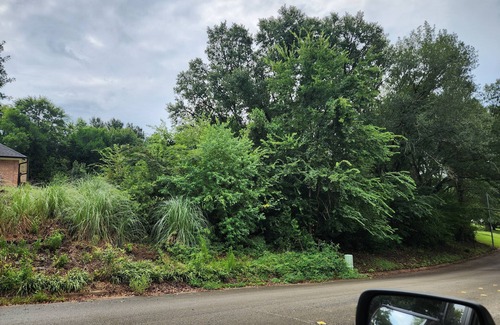 Nacogdoches Apartment | Single Bedroom/Bath in lovely Nacogdoches with Personal AC