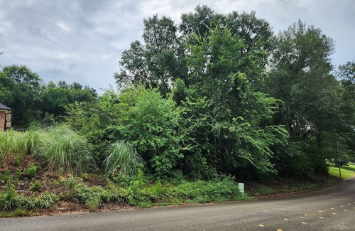 Nacogdoches Apartment | Single Bedroom/Bath in lovely Nacogdoches with Personal AC