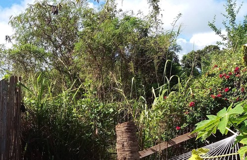 Haleiwa House | Single Private Room & bath, month to month, in Haleiwa Town