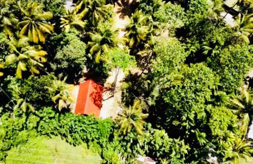 Habaraduwa Villa | Siri Villa Cabana Habaraduwa