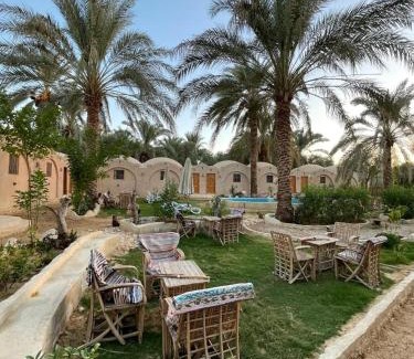 Siwa Hotel | Siwa Palace Lodge