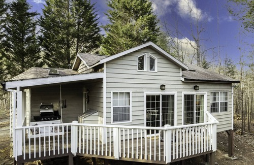 Blue Ridge Cabin | Size Matters Cabin! Indoor Hot Tub, Indoor Fire place.