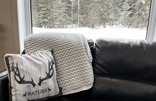 Saint-Tite-des-Caps Ski Chalet | Ski chalet 8 minutes from Le Massif de Charlevoix! Many amenities!