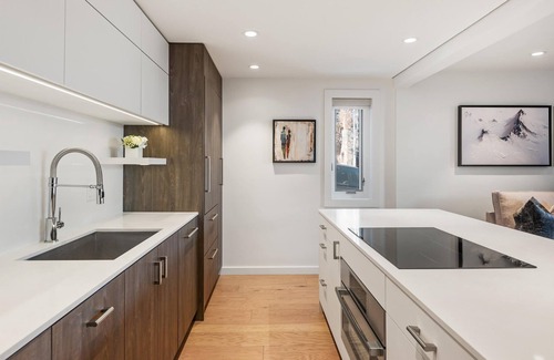 Aspen Apartment | Ski-in/out! Renovated 3BR, 3BA Aspen Condo