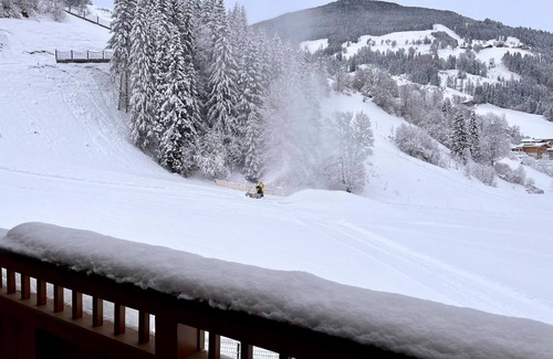 Viehhofen Apartment | Ski-in, ski-out luxurious apartment