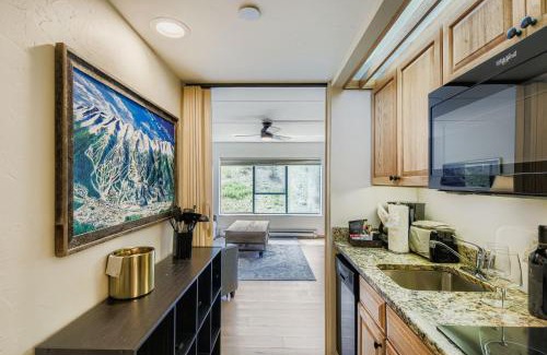 Peak 9 Apartment | Ski In Ski Out Dog Friendly Studio Building 4