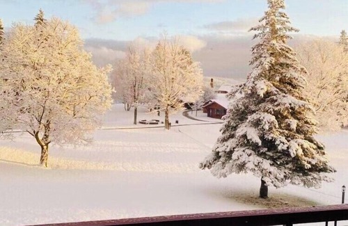 Gaylord Condo | Ski in ski out! Incredible view at Otsego Resort!