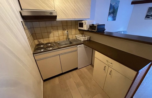 Laveissiere Apartment | Ski-In/Ski-Out Studio with Balcony – 2nd Floor, Near Shops & Ice Rink, Pets Welcome