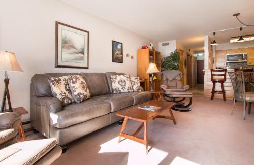Mountain House Apartment | Ski Run Condominiums 203