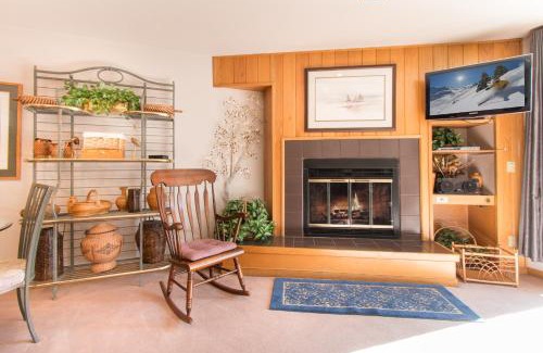 Mountain House Apartment | Ski Run Condominiums 203