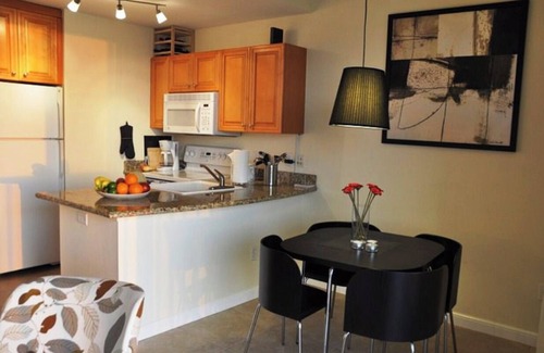 St. Petersburg - Clearwater Condo | Sky view of sunsets and TAMPA BAY !