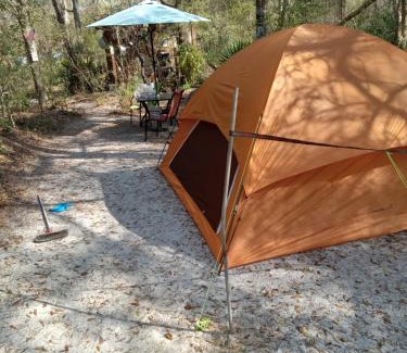 Chiefland Other | Skyacres