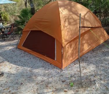 Chiefland Other | Skyacres