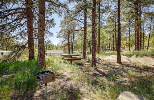 Swiss Manor House | Skyline Pines & Mountain Retreat! Hot Tub/AC/Views!