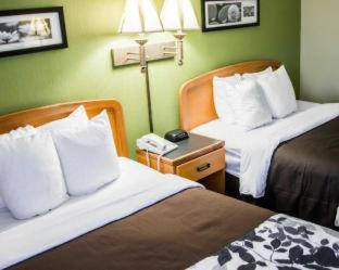 Pineville Hotel | Sleep Inn & Suites Pineville - Alexandria