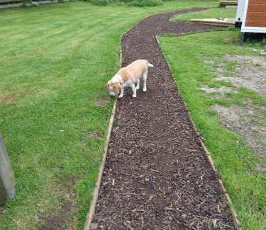 Brighton Apartment | Sleeps 3 to 4 - - 200m from beach