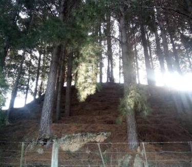 Brighton Apartment | Sleeps 3 to 4 - - 200m from beach