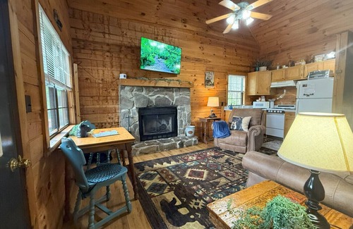 Maggie Valley Cabin | Sleepy Bear Log Cabin with View, WiFI