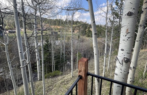 Allenspark Cabin | Sleepy Hollow @ Ferncliff- with Hot Tub and Steam Showers