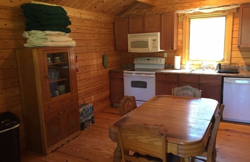 Canton Cabin | Small Cabin Mountain Retreat near Asheville, NC - Total of 4, One-Room Cabins