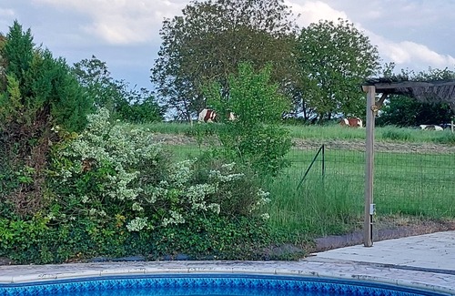 Boce Cottage | SMALL COUNTRY HOUSE