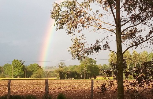 Le Housseau-Bretignolles Cottage | Small holiday cottage, 2/4 people, in the heart of the Mayenne countryside