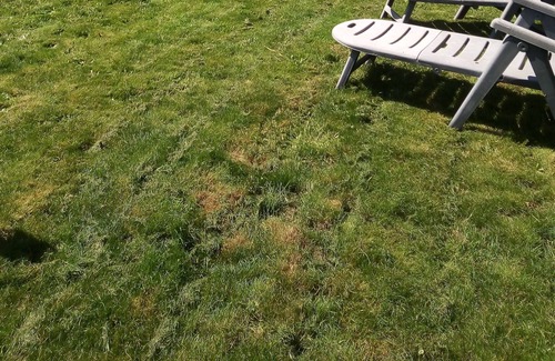 Le Housseau-Bretignolles Cottage | Small holiday cottage, 2/4 people, in the heart of the Mayenne countryside