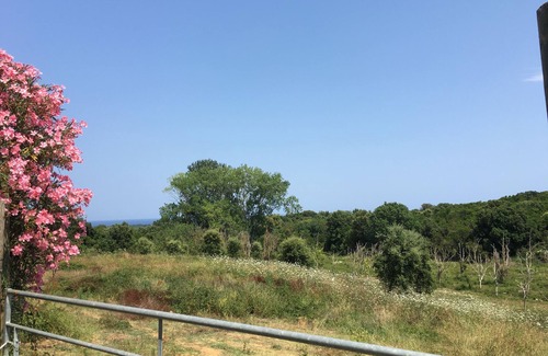 Canale-di-Verde House | Small house on large property in the countryside between sea and mountains