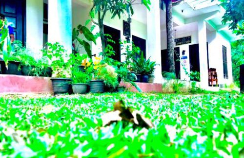 Dambulla House | Smashing Inn