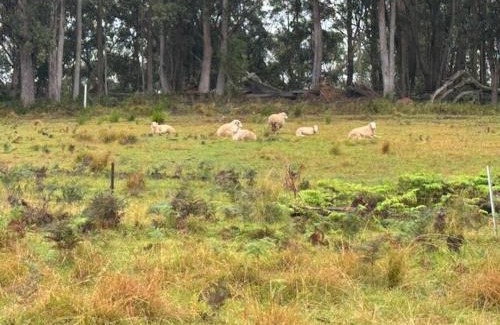 Niangala Villa | Smokey Cape Retreat