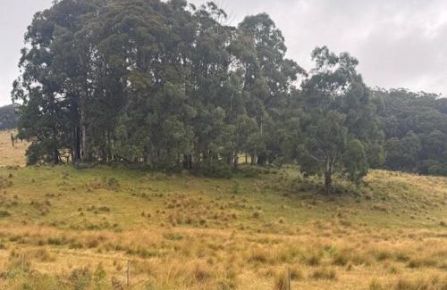 Niangala Villa | Smokey Cape Retreat